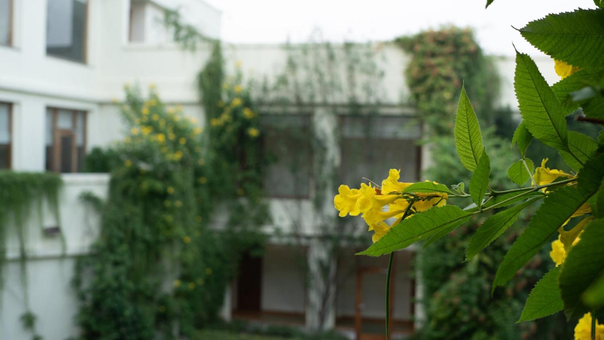 Naad Wellness Hotel Sonipat Buitenkant foto