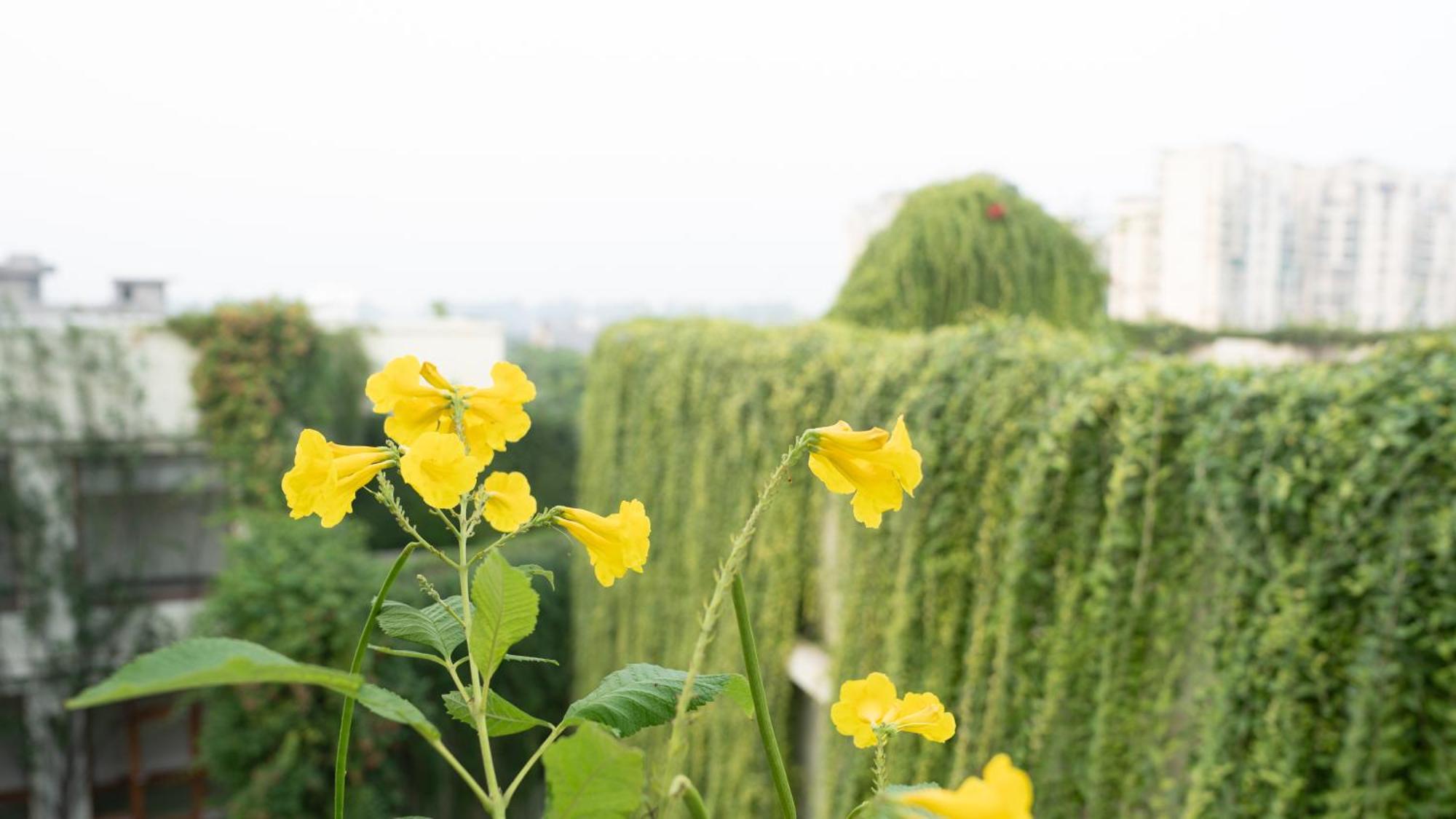 Naad Wellness Hotel Sonipat Buitenkant foto
